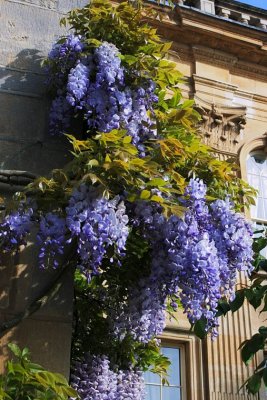 Chipping Campden 0016.jpg