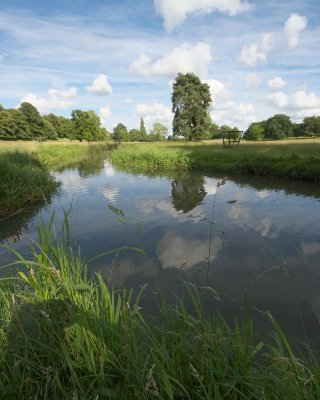 The River Dean.jpg