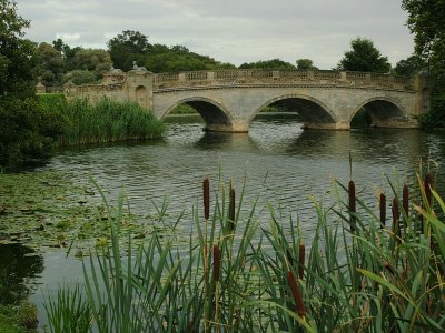 The Adam Bridge 1