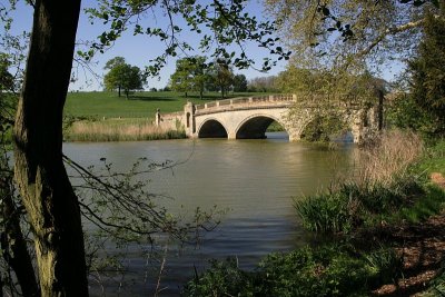 The Adam Bridge 4