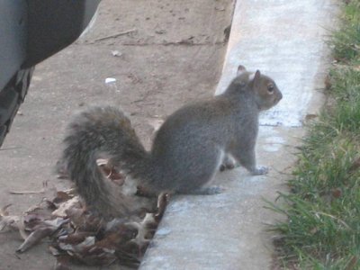 IMG_2550.JPG