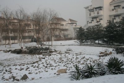 6.JPG