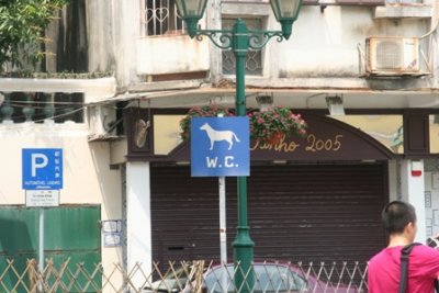 IMG_6851.JPG