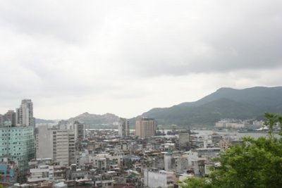 IMG_6902.JPG