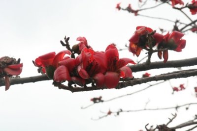 IMG_6903.JPG