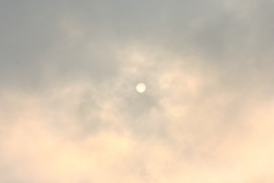IMG_6976.JPG