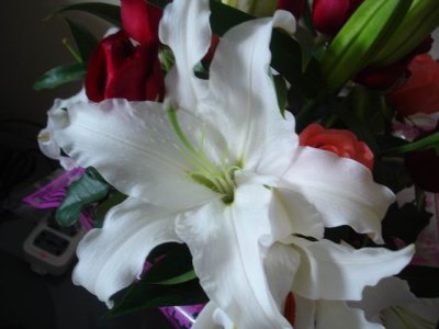 С DSC00890.JPG