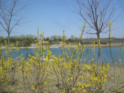 С DSC00919.JPG