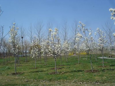 С DSC00939.JPG