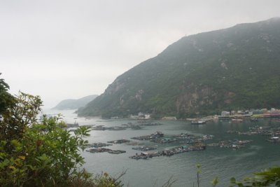 IMG_7099.JPG