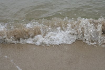 IMG_7126.JPG