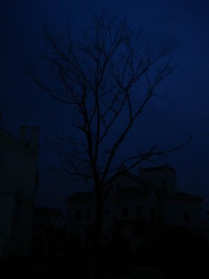 С ת DSC01271.JPG