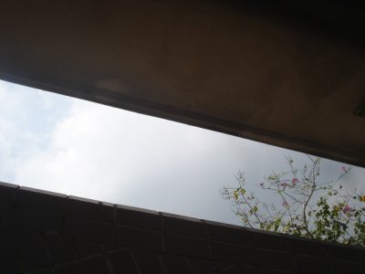 DSC01380.JPG