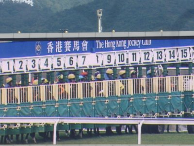 DSC01459.JPG