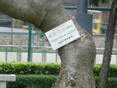 DSC01776.JPG