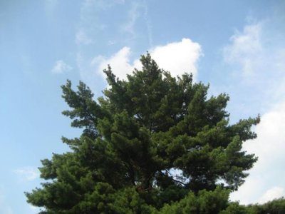 6泯쿴.JPG