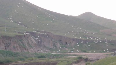 С P1000290.JPG