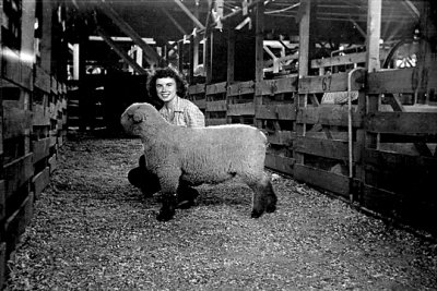 Sandra--1945 4H Hampshire Sheep s  .jpg