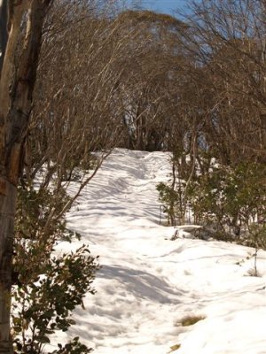 The track to Federation Hut