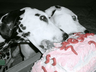 sara and sadie 7th yum.jpg