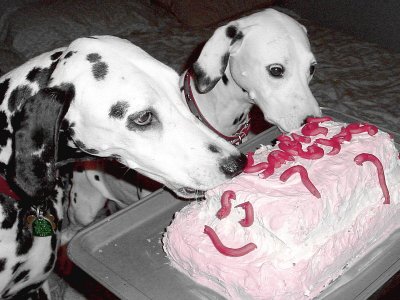 sara and sadie 7th bday.jpg
