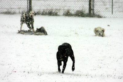 Winter06b 065b.jpg