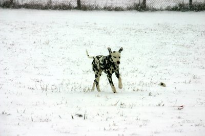 Winter06b 070b.jpg