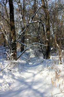 snowtrail.jpg