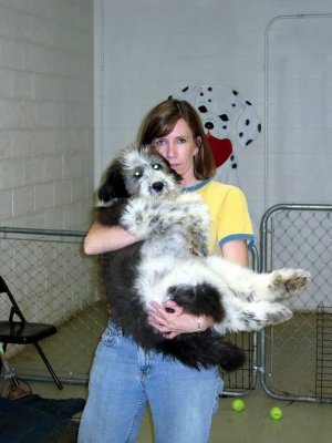 Shaggy Sue 21r.jpg