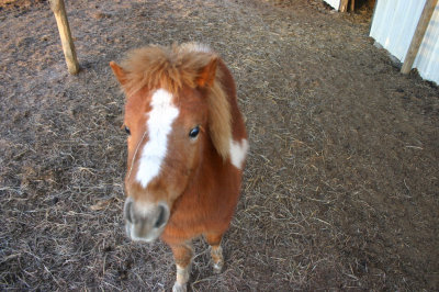 2007-02-18 088.jpg