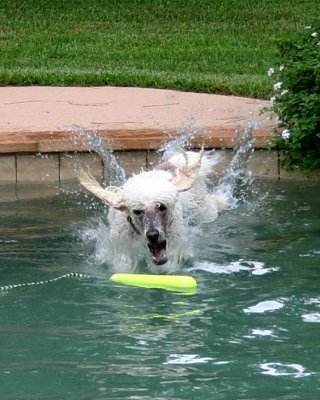 Ker Splash!