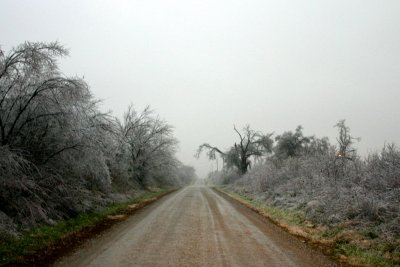 IMG_7437.JPG