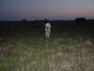 DSC04286.JPG