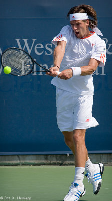 Jurgen Melzer, 2007