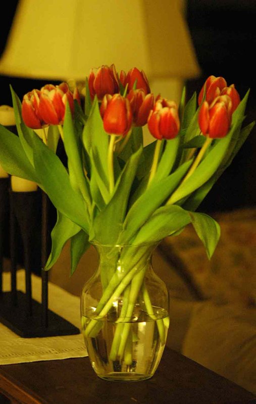 17 Tulips 4596