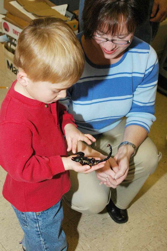 Look Mommy! 299