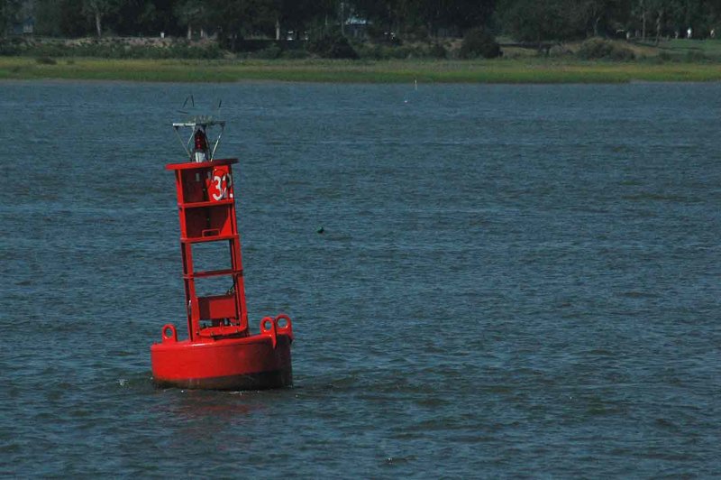 Harbor buoy 6170