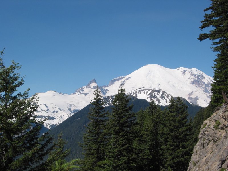 Mt. Rainier