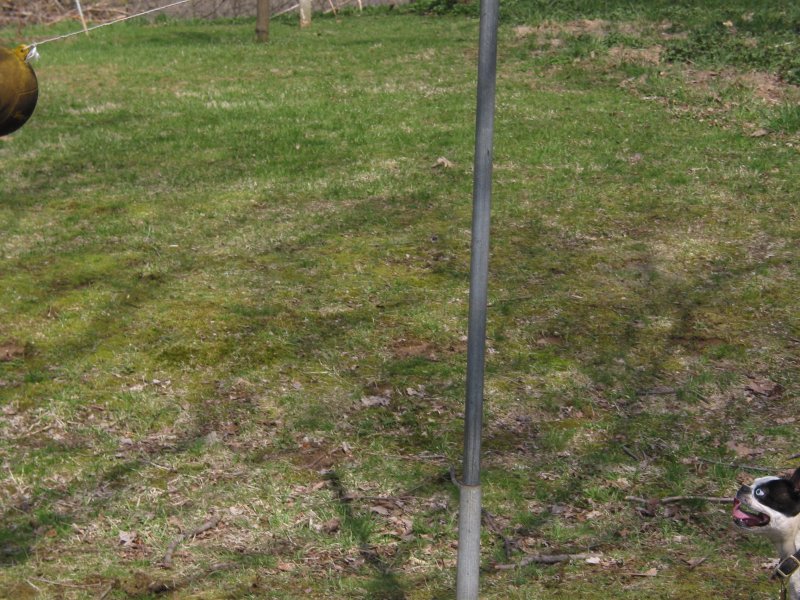 tether ball
