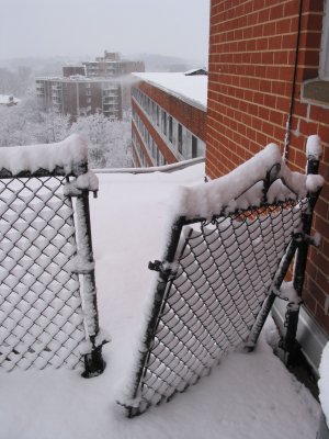 Broken rooftop gate