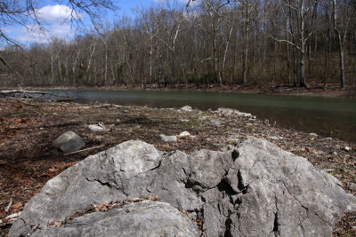 Limestone