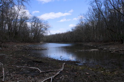 Duck Pond
