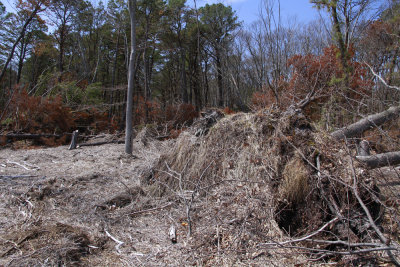 Hurricane Sandy damage