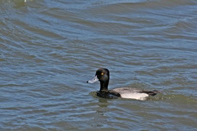 1.IMG_1996.JPG