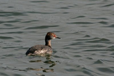 1.IMG_2455.jpg