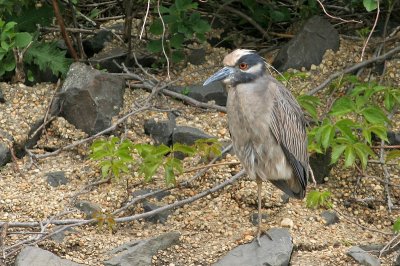 1.IMG_3031.JPG