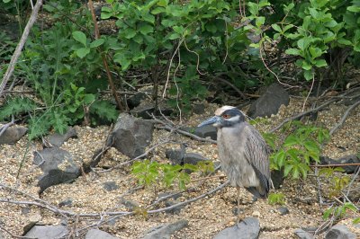 1.IMG_3038.JPG