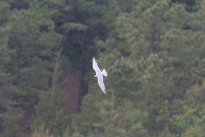 3.IMG_3273.jpg