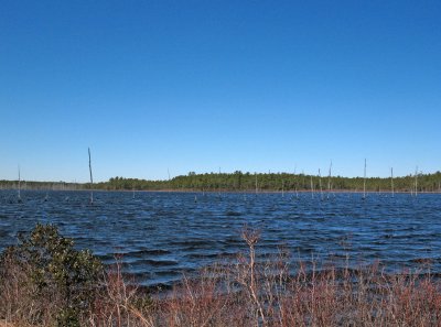 Franklin Parker Preserve