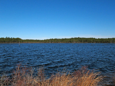 Franklin Parker Preserve